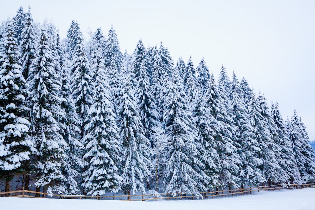 4 Ways to Help Beat Cabin Fever This Winter Season_Origin Active Lifestyle Communities