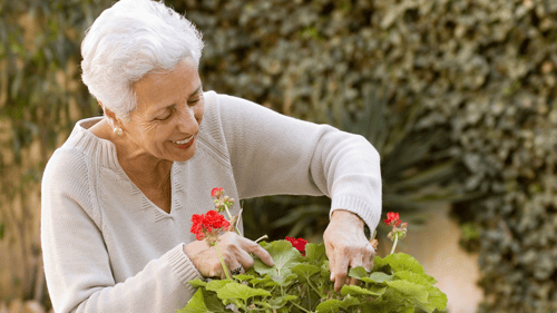 Gardening for Joy & Health: Easy Spring Gardening Ideas for Seniors